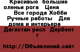 Красивые  большие оленьи рога › Цена ­ 3 000 - Все города Хобби. Ручные работы » Для дома и интерьера   . Дагестан респ.,Дербент г.